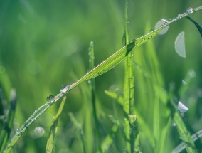 成人性色生活片免费:北京绿色建材零售价格解析